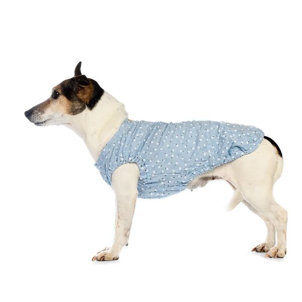 Футболка с пуговичками для собак 2XL голубой (унисекс)