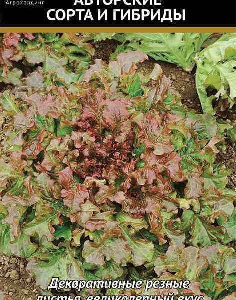 Семена Салат Поиск Рубин