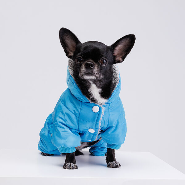 Комбинезон для собак, S, голубой