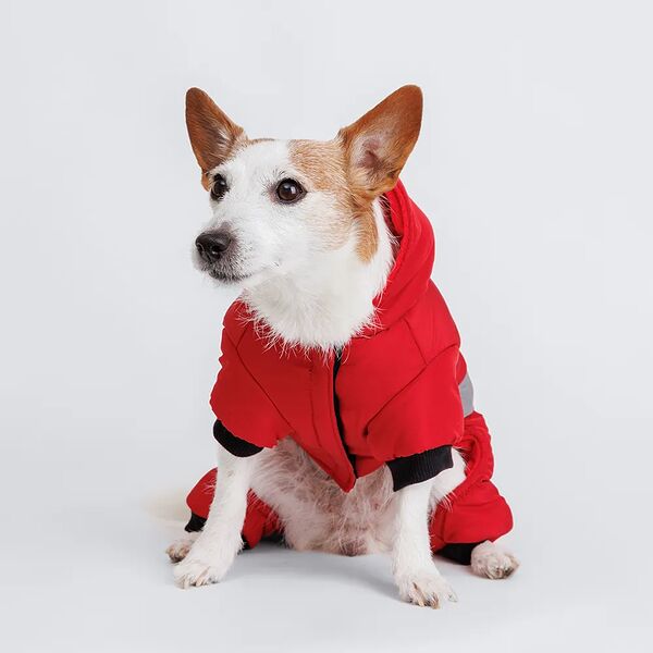 Комбинезон для собак, L, красный