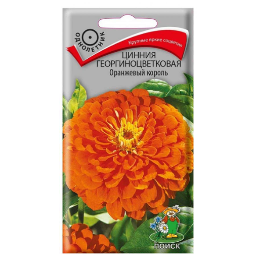 Семена Поиск Цинния Георгиноцветковая Оранжевый король