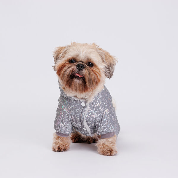 Комбинезон светоотражающий для собак, L, с буквами