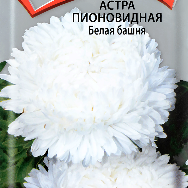 Семена ПОИСК Астра пионовидная Белая башня, 0,3г