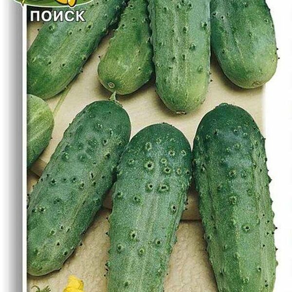 Семена Огурец Парижский корнишон ТМ Поиск
