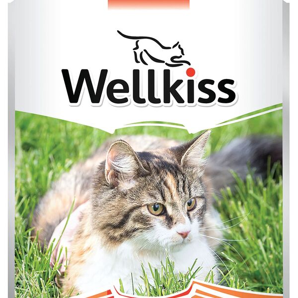 Adult влажный корм Wellkiss для взрослых кошек, с ягненком и говядиной в соусе