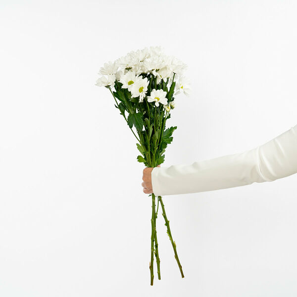 Хризантемы