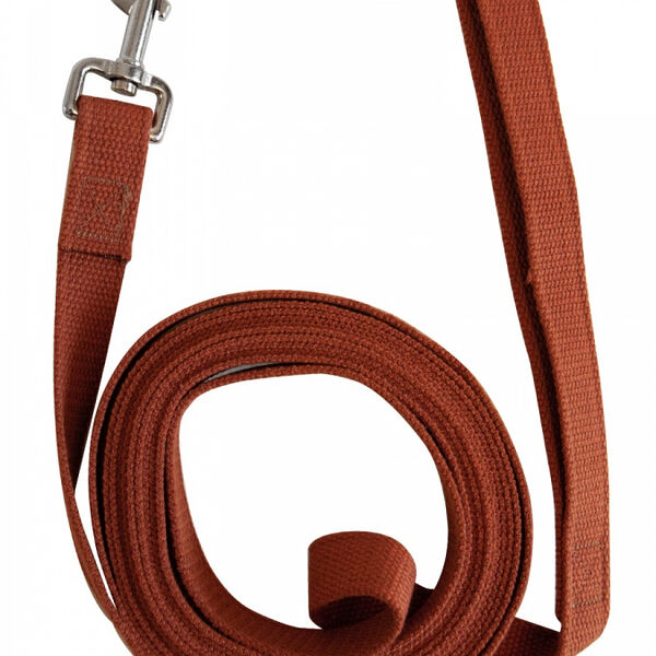 Поводок брезентовый для собак ЗООНИК, коричневый 5м*25мм