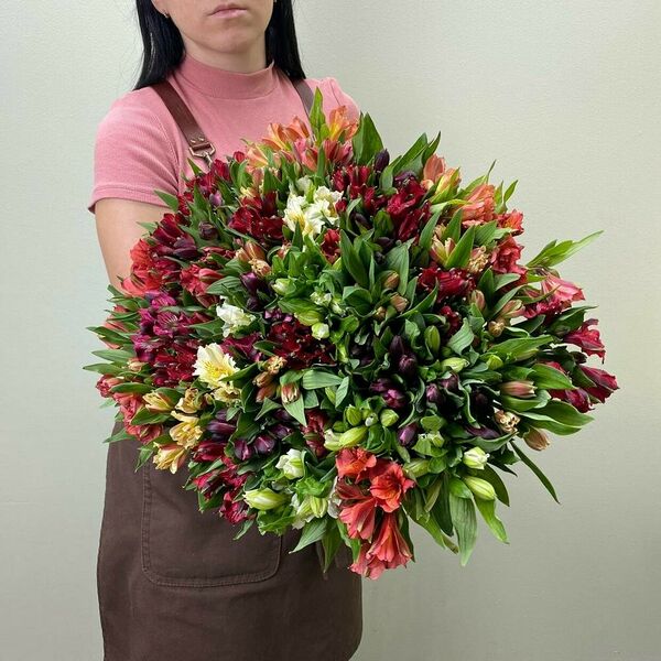 51 альстромерия