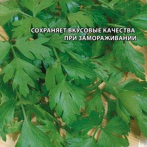 Петрушка листовая Бисер Гавриш Заморозь