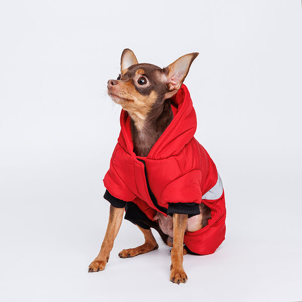 Комбинезон для собак, S, красный