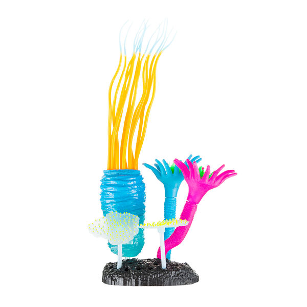 Анемон трубчатый с кораллом 11х7х12см