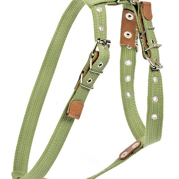 Collar шлея х/б тесьма для мелких и средних собак