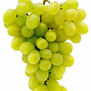 Виноград белый