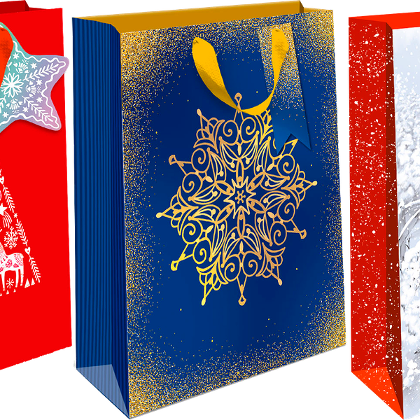 Пакет подарочный Арт и Дизайн Премиум в ассортименте