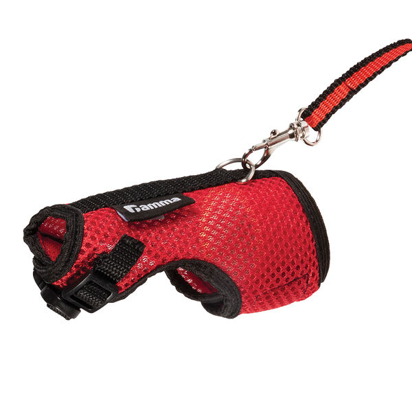 Комплект шлейка и поводок для крысы Лариска, 160*230мм