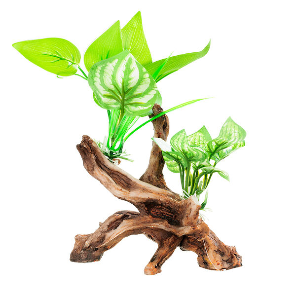 AquaFantasy Коряга с растениями 12*5,5*11см