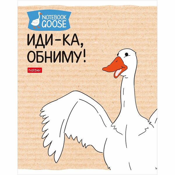 Тетрадь Hatber Гусь-веселюсь выпуск 2 в клетку А5 48л