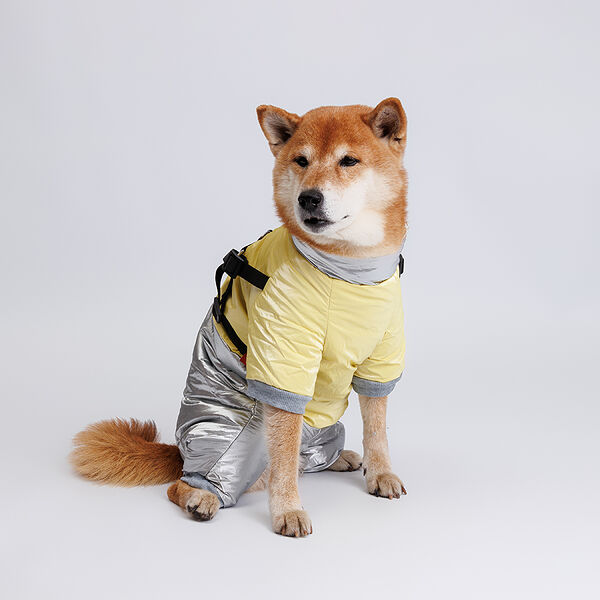 Комбинезон для собак, 2XL, серебряно-желтый (девочка)
