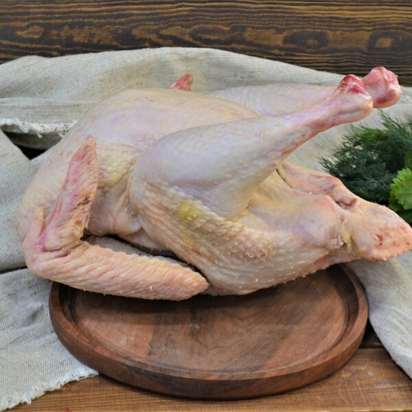 Индейка(Рязанская птица)