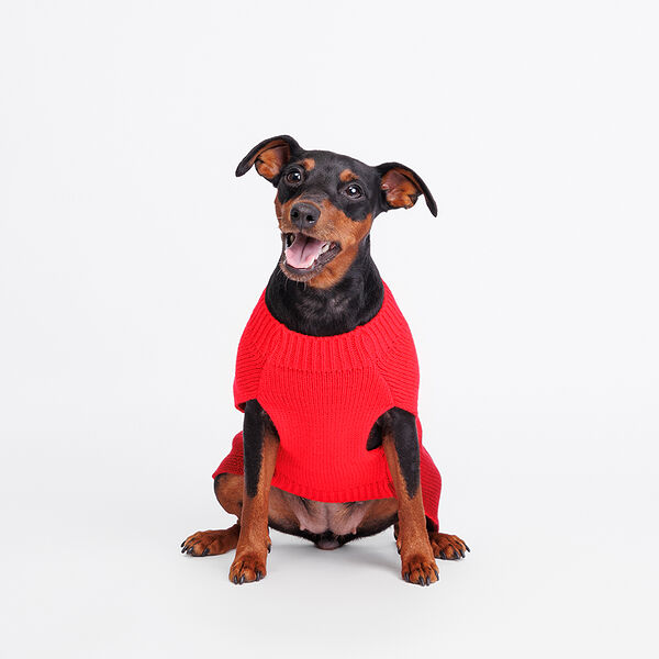 Свитер с оленем для собак, L, 31 см, красный