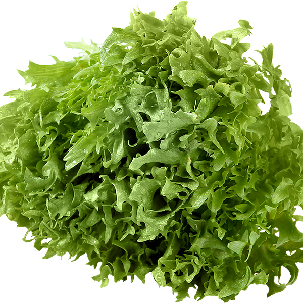 Салат листовой Фриллис
