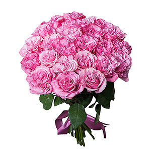 Монобукет из 25 роз Country Blues, «Ирис», Эквадор