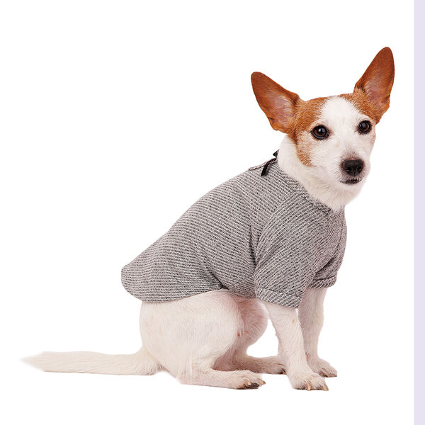 Футболка для собак M серый (унисекс)