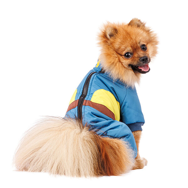 Комбинезон на молнии для собак XL голубой (унисекс)