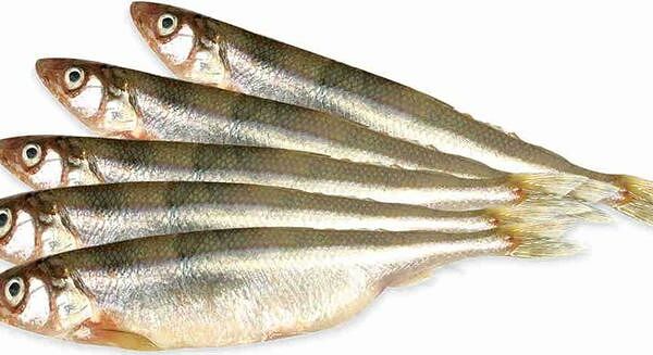 Корюшка Питерская охлаждённая