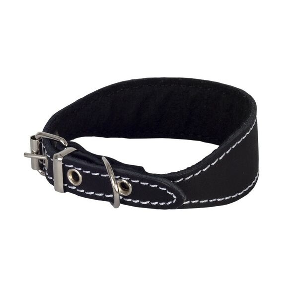 Ошейник для левретки, таксы кожаный с синтепоном обхват шеи 32-41 см