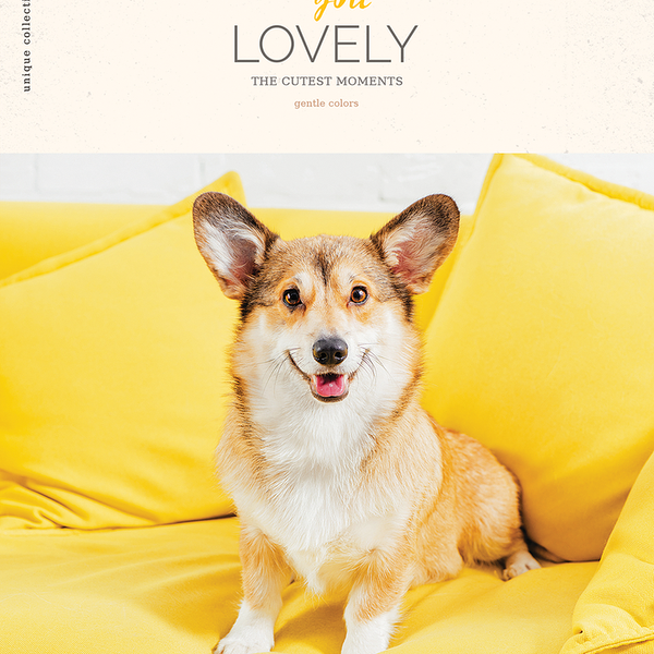 Тетрадь ArtSpace Питомцы You lovely, А5 96 листов в клетку, на скрепке, в ассортименте