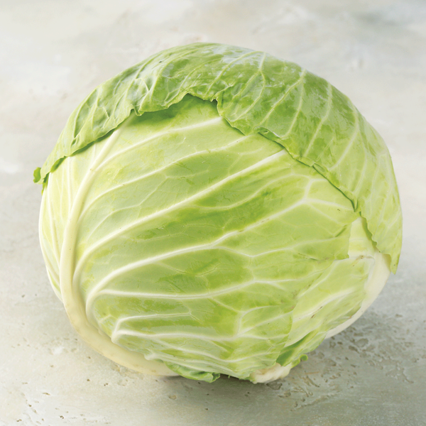 Капуста белокочанная молодая