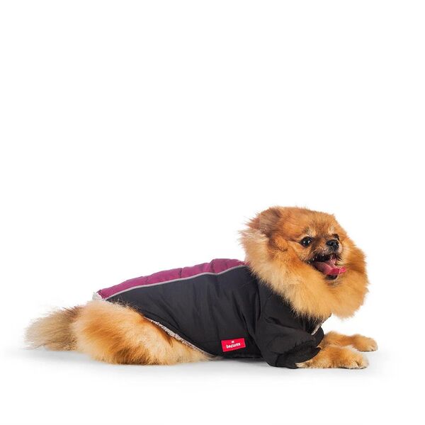 Комбинезон для собак XS малиновый (унисекс)