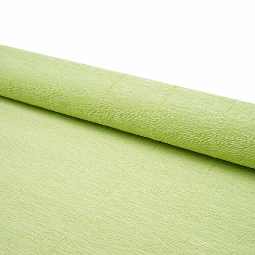87500344 Бумага гофрированная простая, 50см*2,5м 180гр 566 светло-салатовая