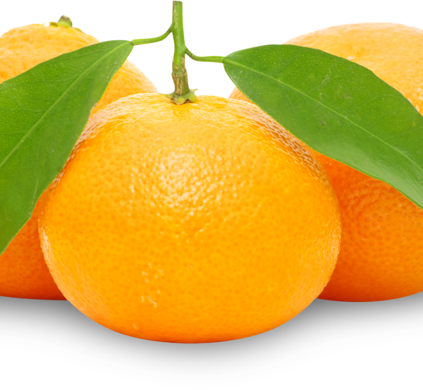 Мандарины  с листочками