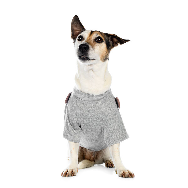 Футболка для собак S серый (унисекс)