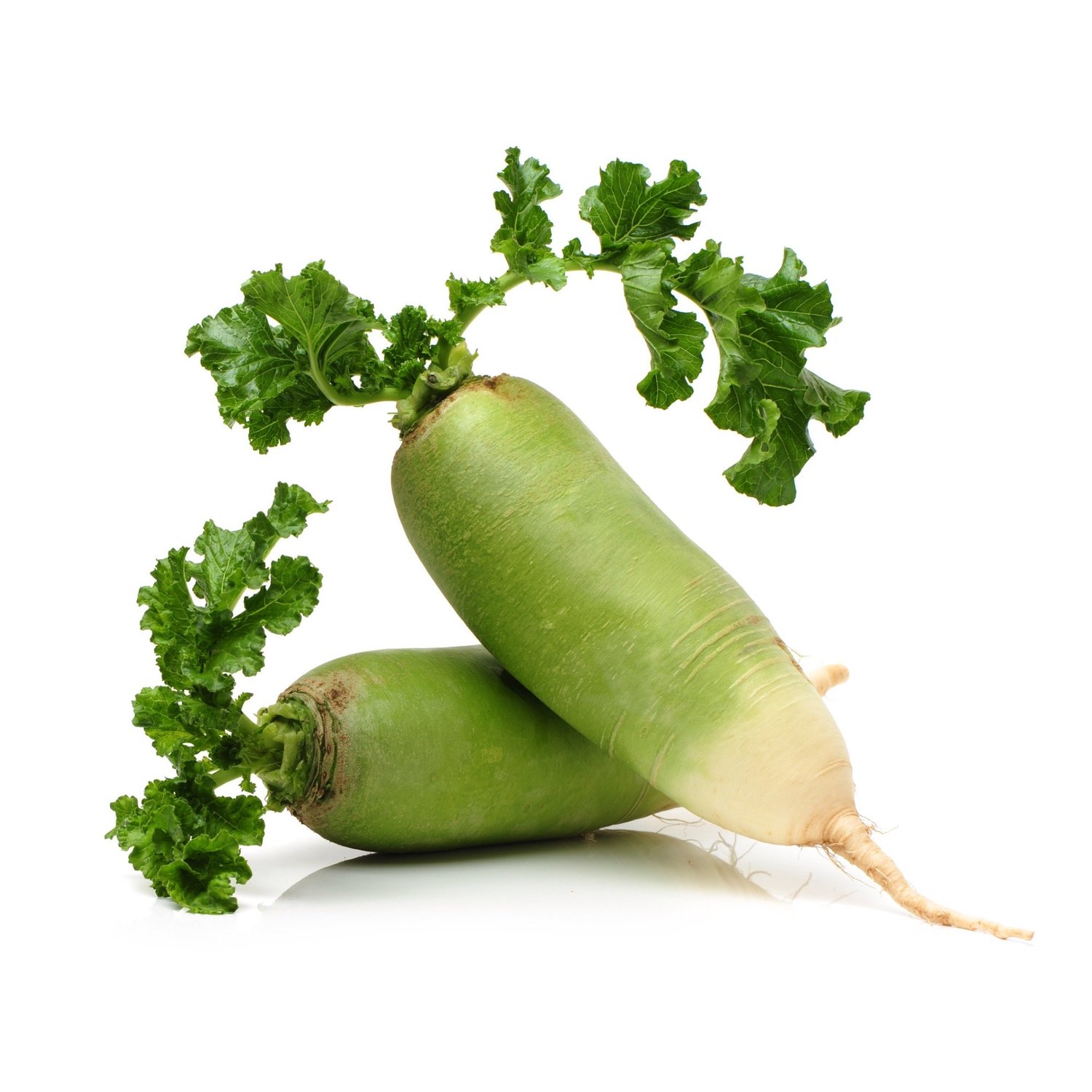 

Редька зелёная вес