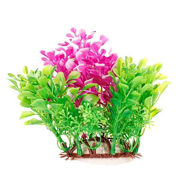 AquaFantasy Композиция с розовым 7x4x12см