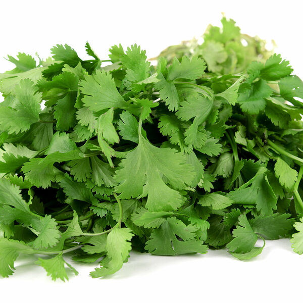 Кориандр (кинза) свежая ТМ Metro Chef (Метро Чиф)