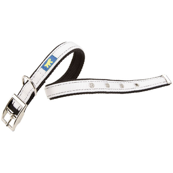 DUAL Ошейник для собак крупных пород белый 53х2,5 см