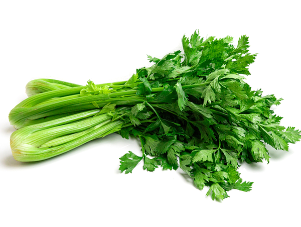 Сельдерей Metro Chef