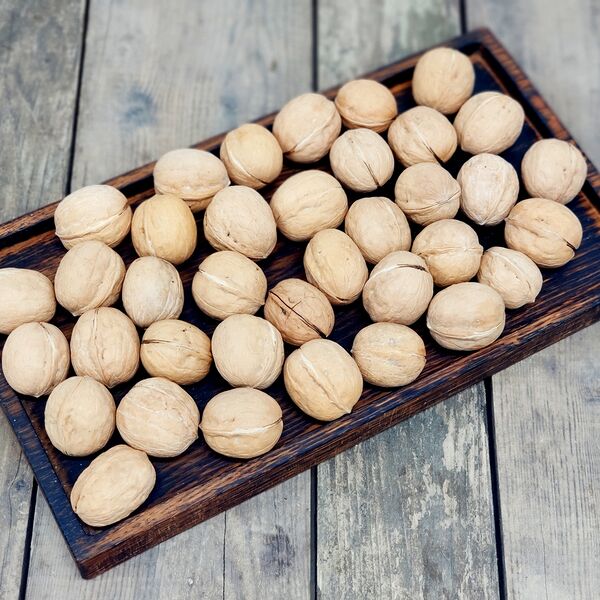 Орех Грецкий в скорлупе (Чили)