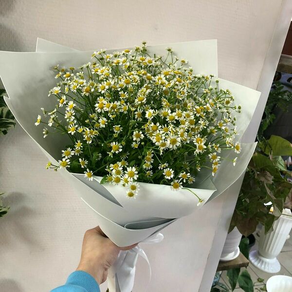Букет Любимых Ромашек