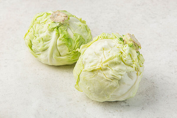 Капуста белокочанная