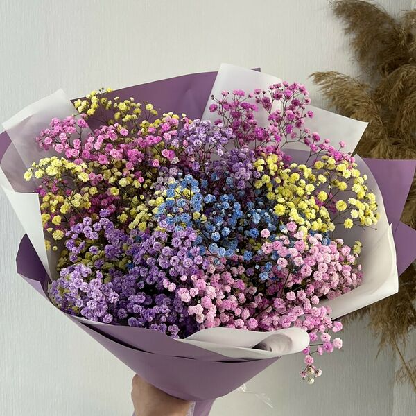 Радужная гипсофила