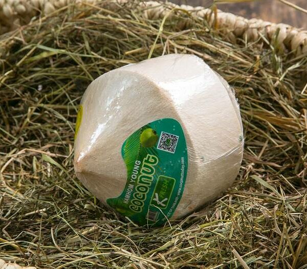 Кокос молодой