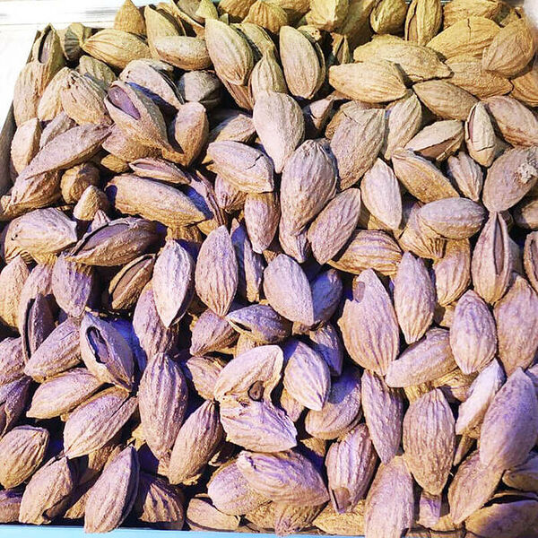 Миндаль в скорлупе