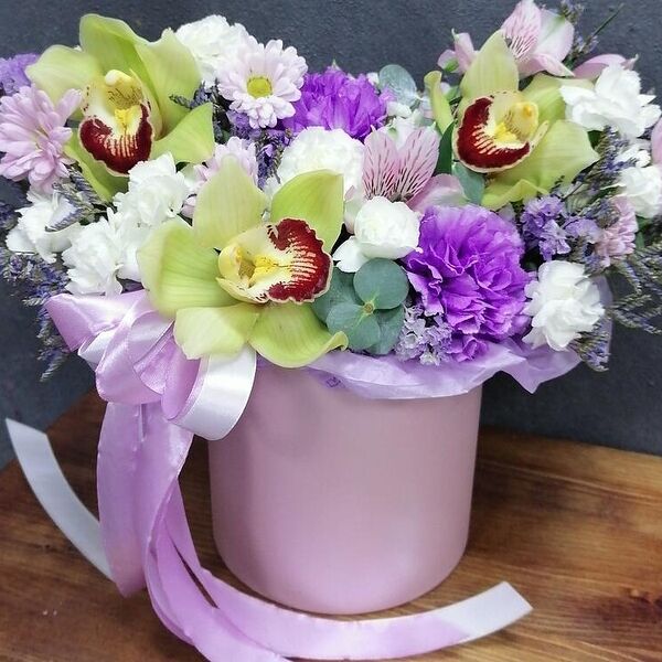 Орхидея Цимбидиум Стильно