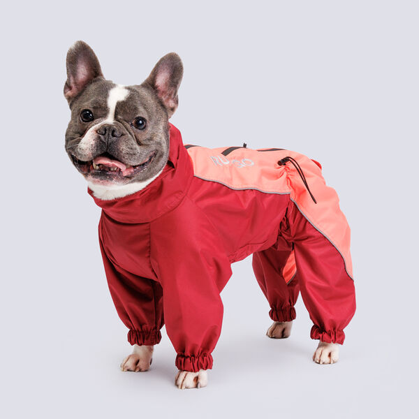 Дождевик Rungo Французский бульдог, девочка, коралл