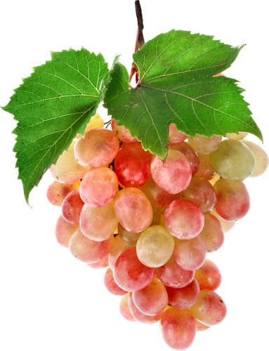 

Виноград розовый, весовой